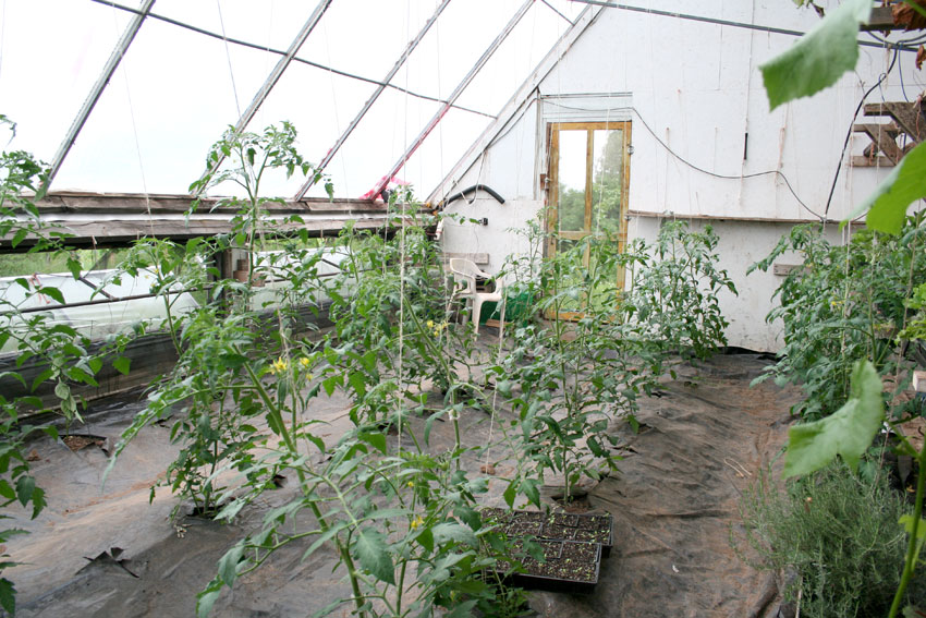 20140418_1125519