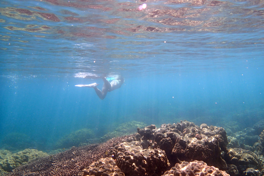 【スリ浜】見事な曇り眼でシュノーケリングしてみた。【奄美大島・加計呂麻島 女もつらいわ 05】