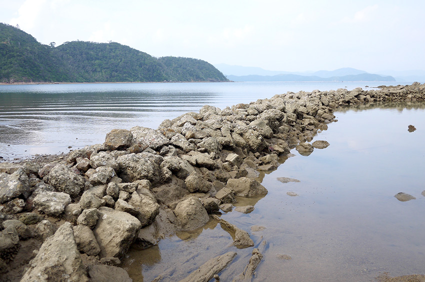 【木慈】名付ければそこが名所!? ドラム缶桟橋と垣漁跡【奄美大島・加計呂麻島 女もつらいわ 17】