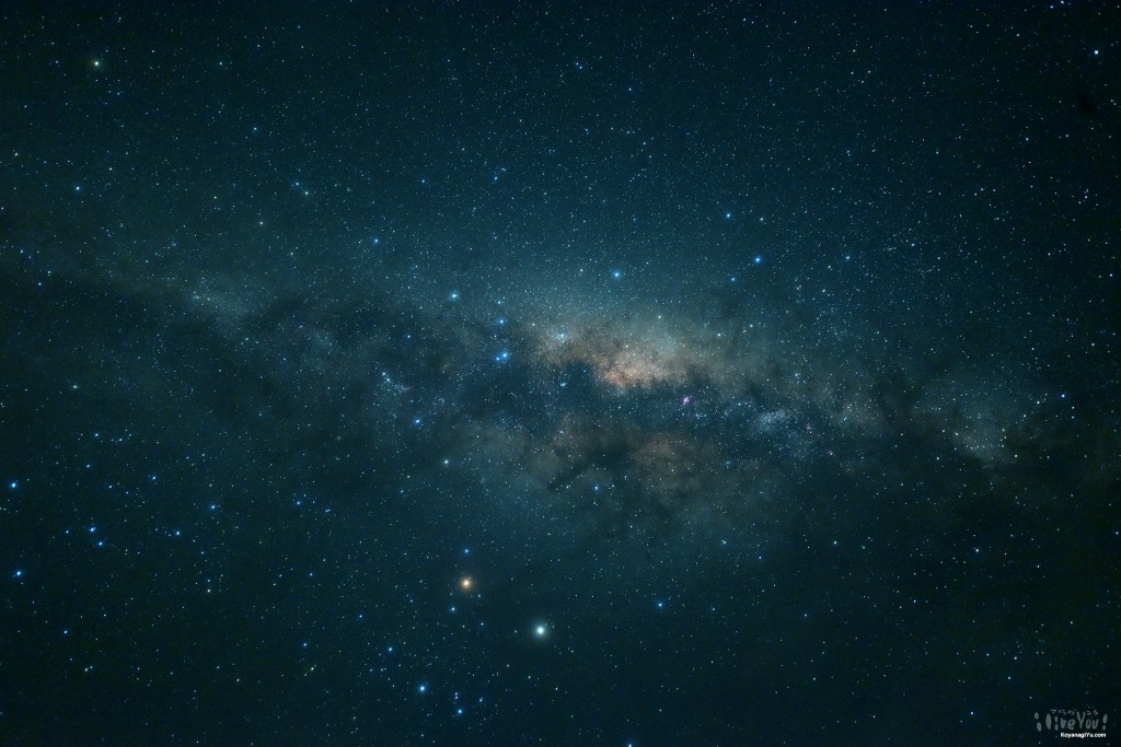 DAY1: ニュージーランドの夜空は星が多すぎて「ないところ」に国鳥キーウィがいたよ！ #airnzjp #link_nz