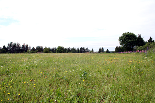 20110702_2159968