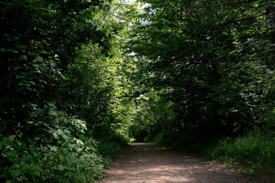 20110703_2161456