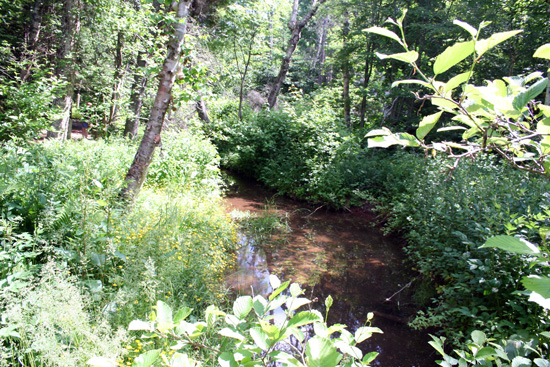 20110703_2161458