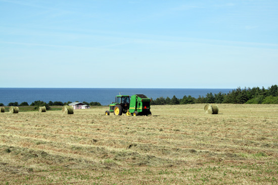 20110703_2161471