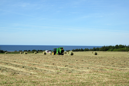 20110703_2161472