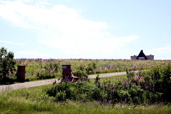20110704_2162286