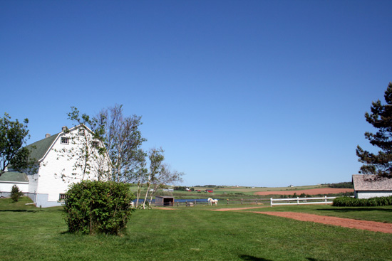 20110704_2162318