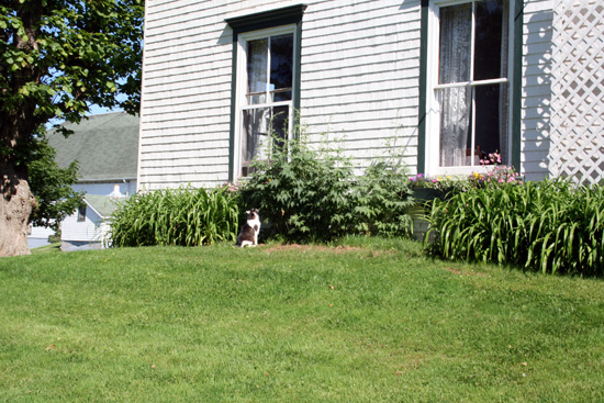 20110704_2162321