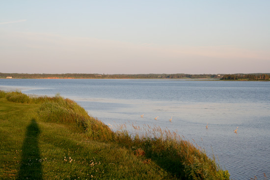 20110704_2162359