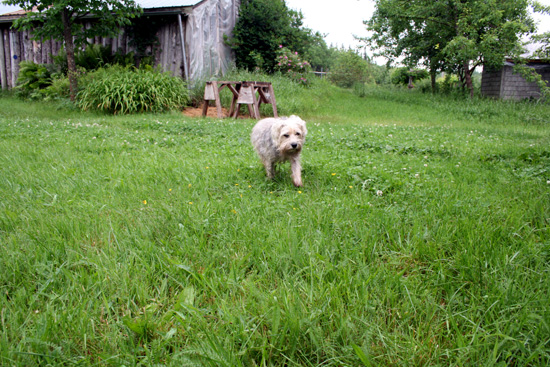 20110706_2165053