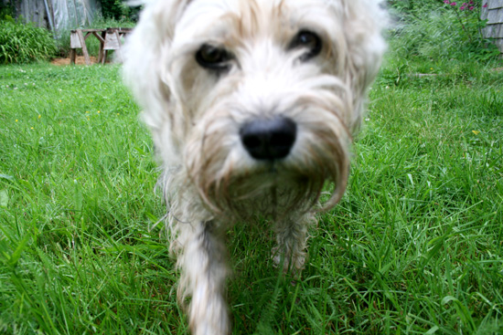 20110706_2165054