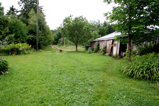 20110706_2165056