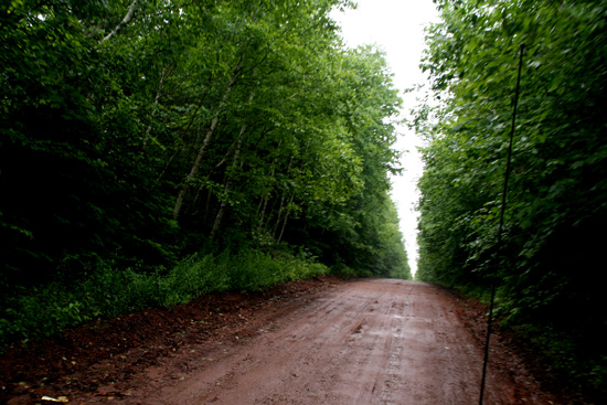 20110706_2165062