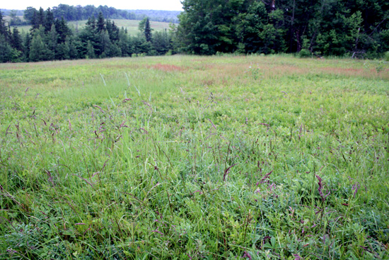 20110706_2165086