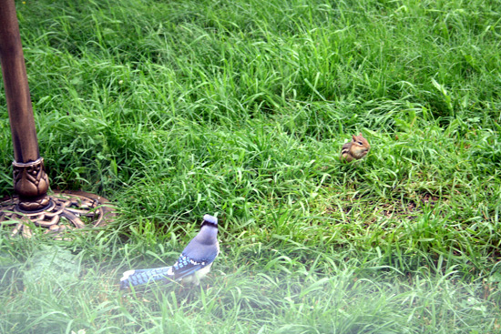 20110706_2165105