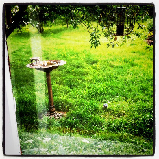 20110707_2166740