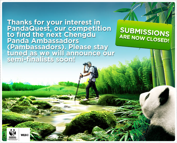 パンダ大使の「ハグ」終了！　セミファイナル発表は10月4日【倍率計算】