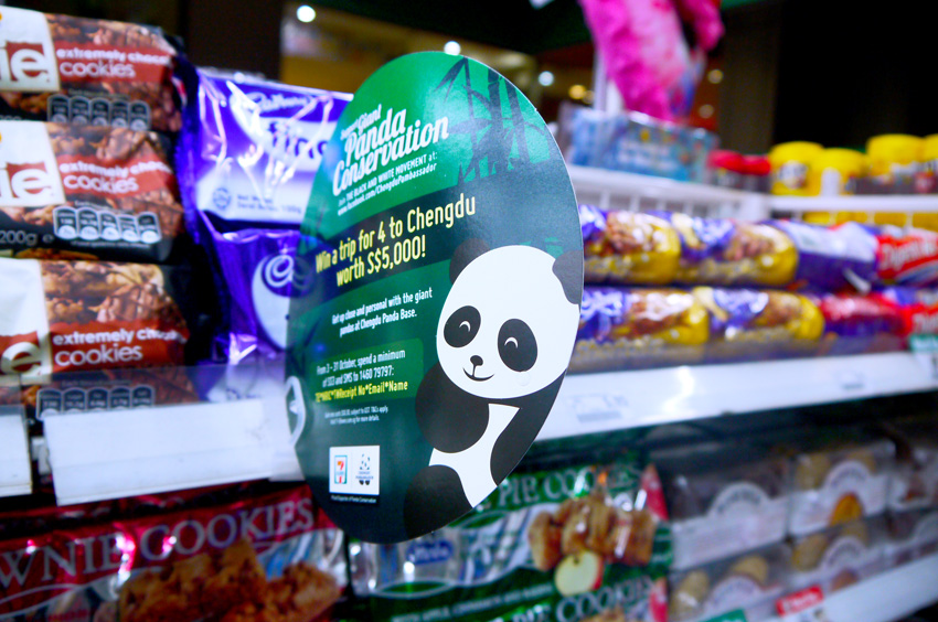 #Pambassador #SG 01 セミファイナリストとしてシンガポールへ来たよ！ 衝撃の「パンダに会えない」という事実……！