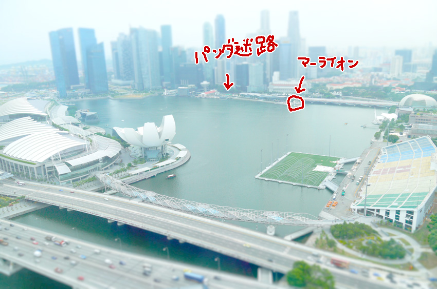 #Pambassador #SG 05 最後はシンガポール観光 ARIGATO!! #panda_note