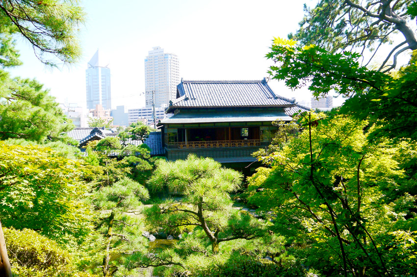 【みずつちレポVol.09】2日目：旧齋藤家別邸『新潟が受け継いだ葉の館』