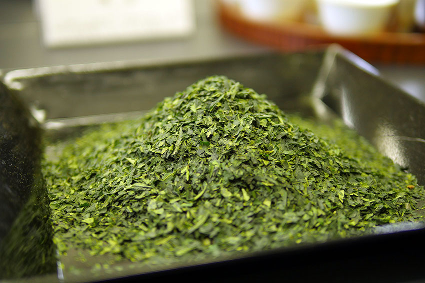 日本茶オンチにも分かる、新しくなった伊右衛門の違い！-後編-【PR】