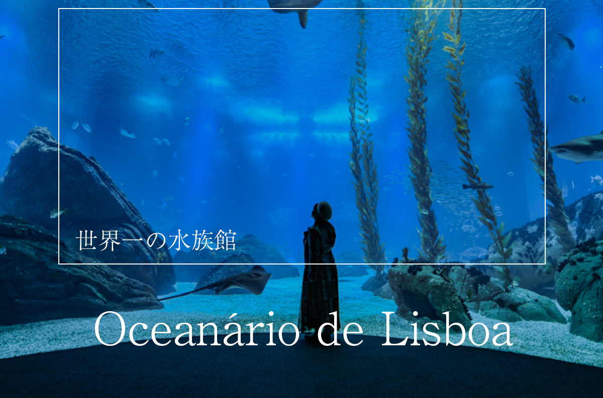 天野尚の遺作が残る、“世界一”の「リスボン海洋水族館」 | コヤナギユウ