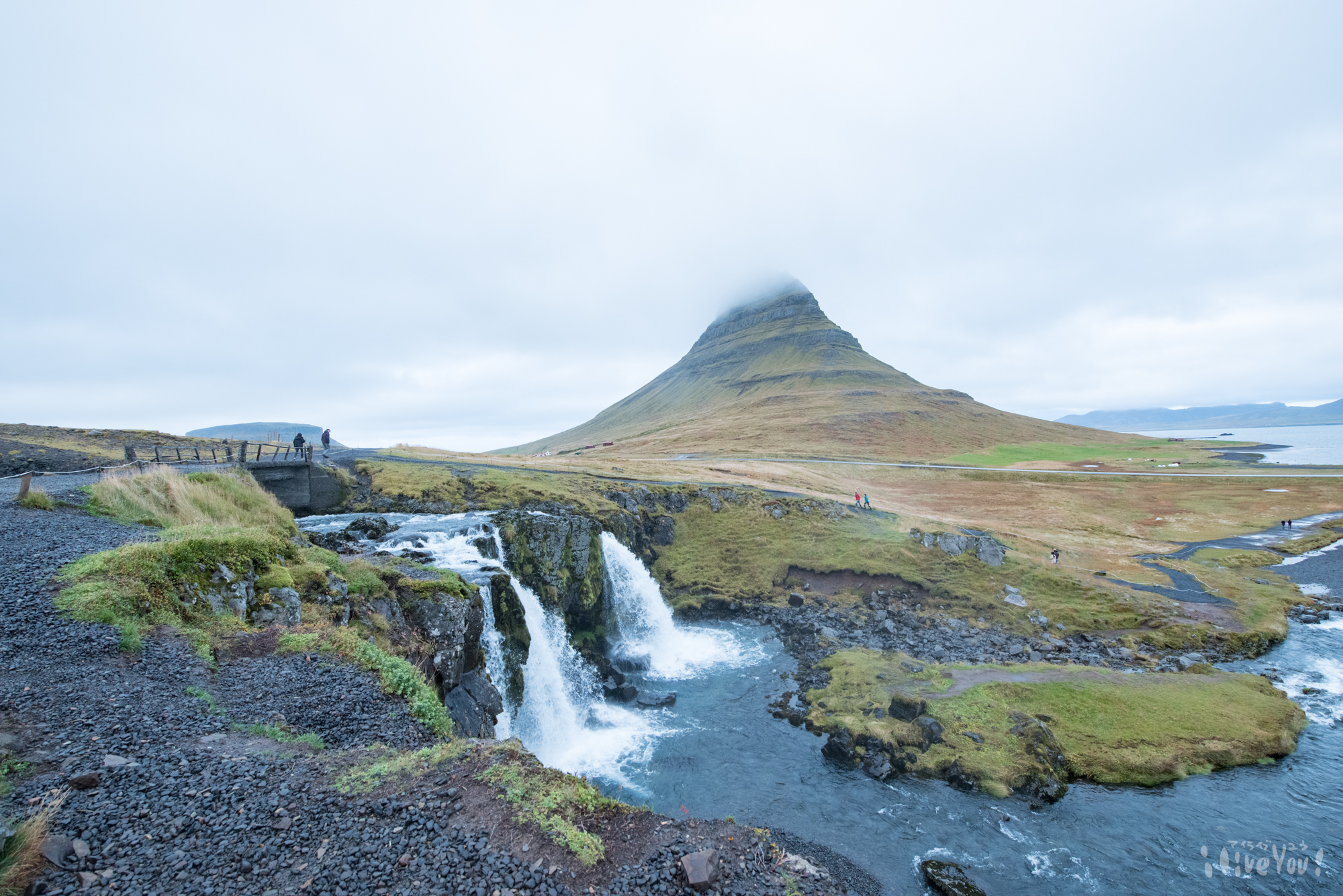 ホマロメナ　アイルテュルジュン(滝) nb_b01t.jpg